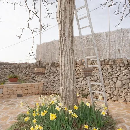 I Trulli Di Mina Locorotondo