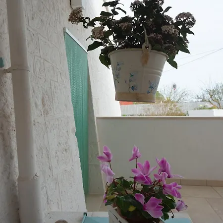 I Trulli Di Mina Вилла Локоротондо